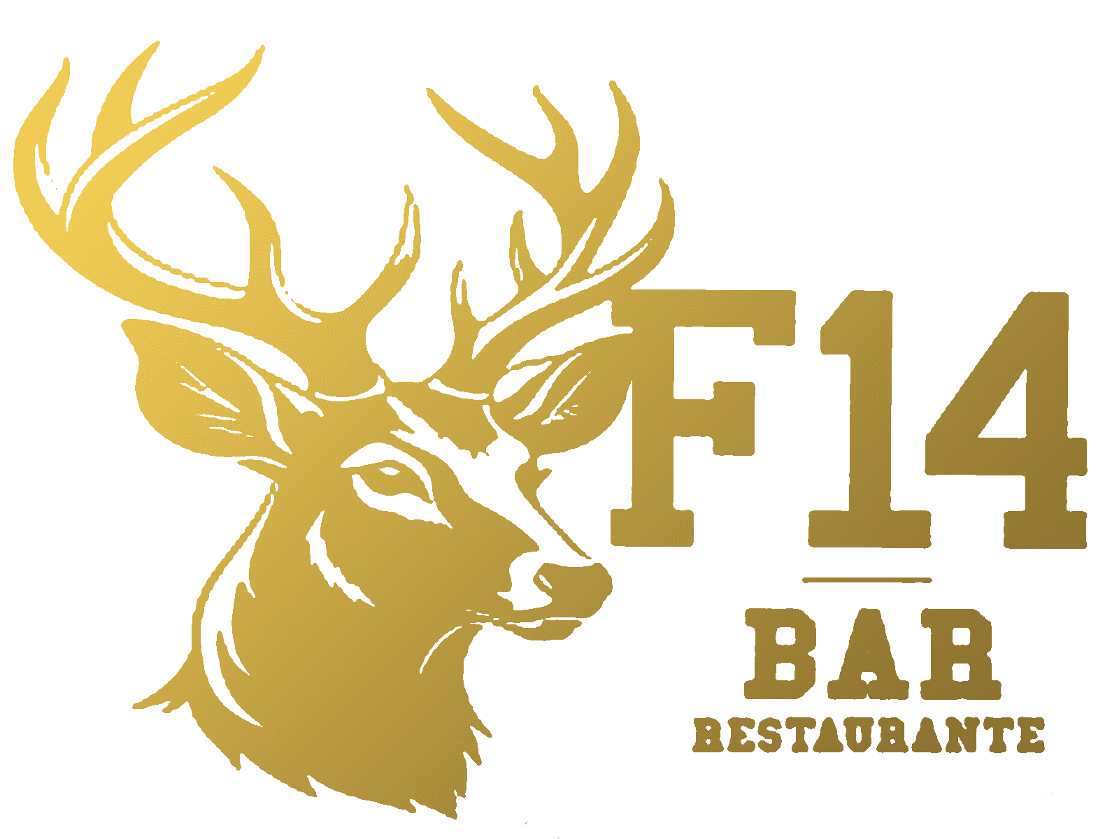 Logo F14